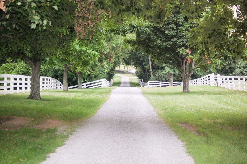 Driveway Stone Removal in Progress